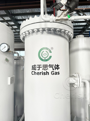 Purificatore di gas di azoto efficiente Generatore di purificazione di azoto PSA