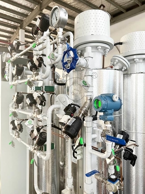 Purificatore di gas di azoto Bright Monitor e regola il processo di purificazione dell'azoto